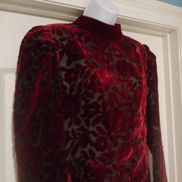 Cachet by Bari Protas Deep Burgundy Burnout Velvet Vintage Maxi Dress  13/14 - Picture 5 of 15